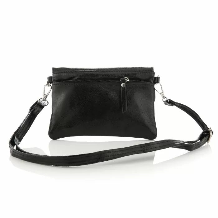 TAS SHINY