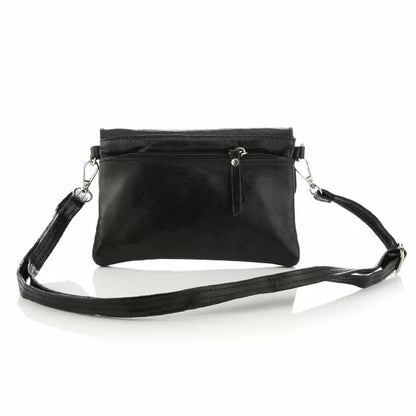 TAS SHINY